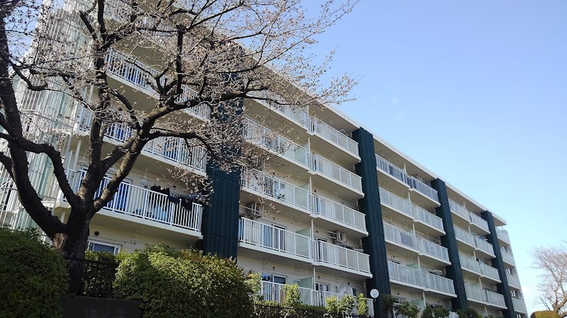 厚木毛利台ハイツ８号棟 現地写真