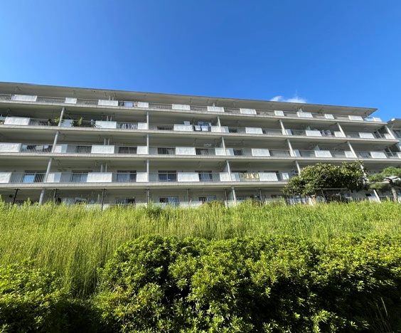 洋光台南第一団地20号棟 現地写真