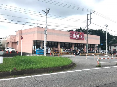 新柏ガーデニア東の街壱番館 スーパー