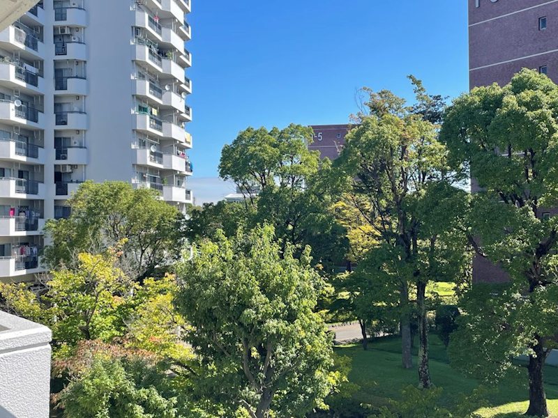 並木2丁目第1住宅 1-7号棟 現地写真（バルコニー）