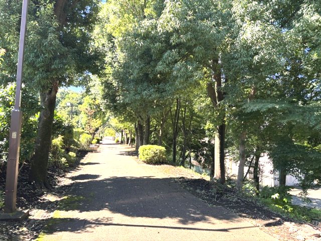 パークサイド南大沢 現地写真（その他）