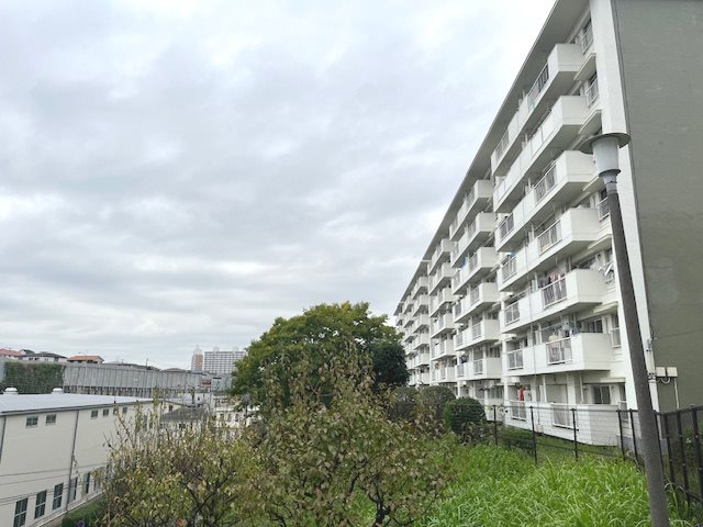 洋光台南第２団地23号棟 その他