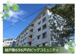 洋光台南第一団地４－３１号棟 現地写真