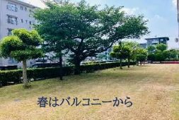 幸町東住宅 眺望写真
