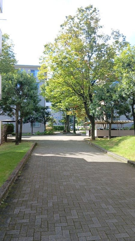 さつきが丘東住宅 その他