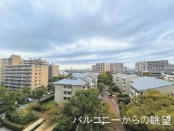 清新中央ハイツ　６号棟 その他