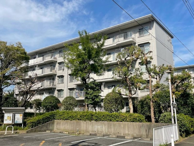 並木1丁目第1住宅 11-3号棟 現地写真