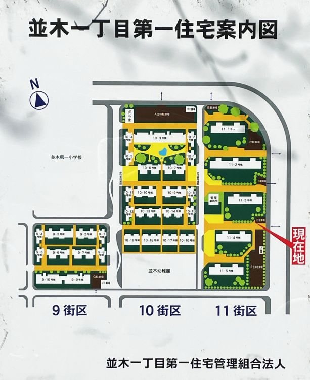並木1丁目第1住宅 11-3号棟 現地案内図