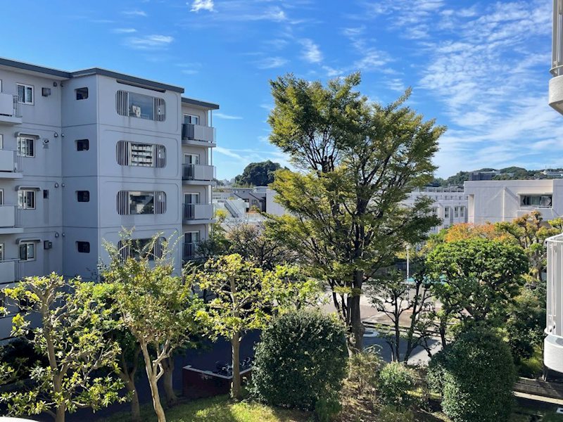 並木1丁目第1住宅 11-3号棟 その他