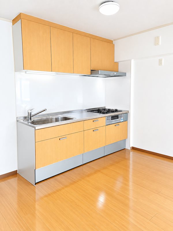 清新プラザ3号棟 その他