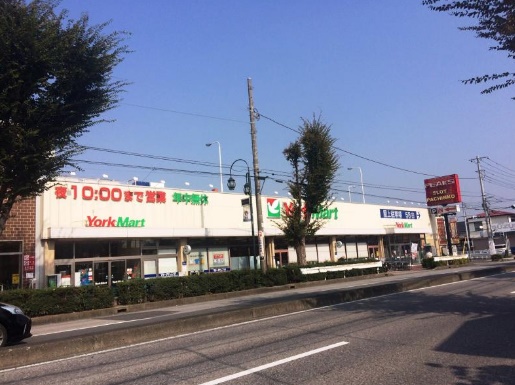 川口市北園町 周辺画像2