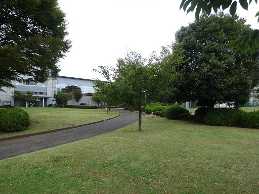 中古戸建 川口市弥平 周辺画像5