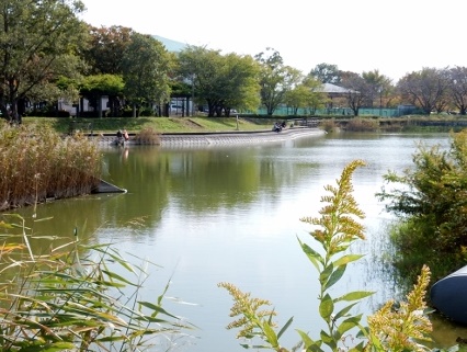 D&amp;#39;クラディア川口戸塚Ⅱ 3F号室 周辺画像5