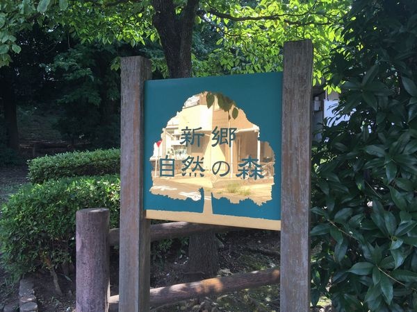 川口市赤井３丁目　中古戸建て 周辺画像6