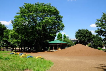 コスモ川口グランステージ 周辺画像6