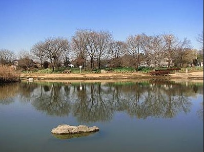 コスモ川口サンスクエア 周辺画像6