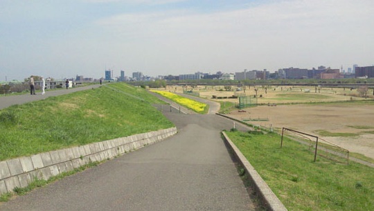 川口第３ローヤルコーポ 周辺画像5