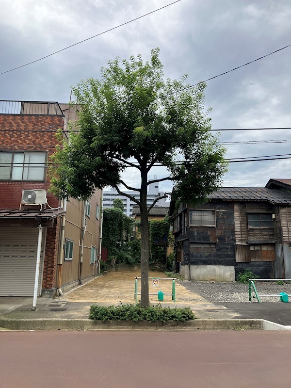 本町二丁目３番６ 現地写真