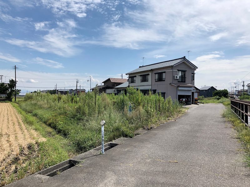 燕市花見 現地写真
