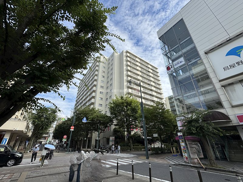 新潟県新潟市中央区万代１丁目 現地写真