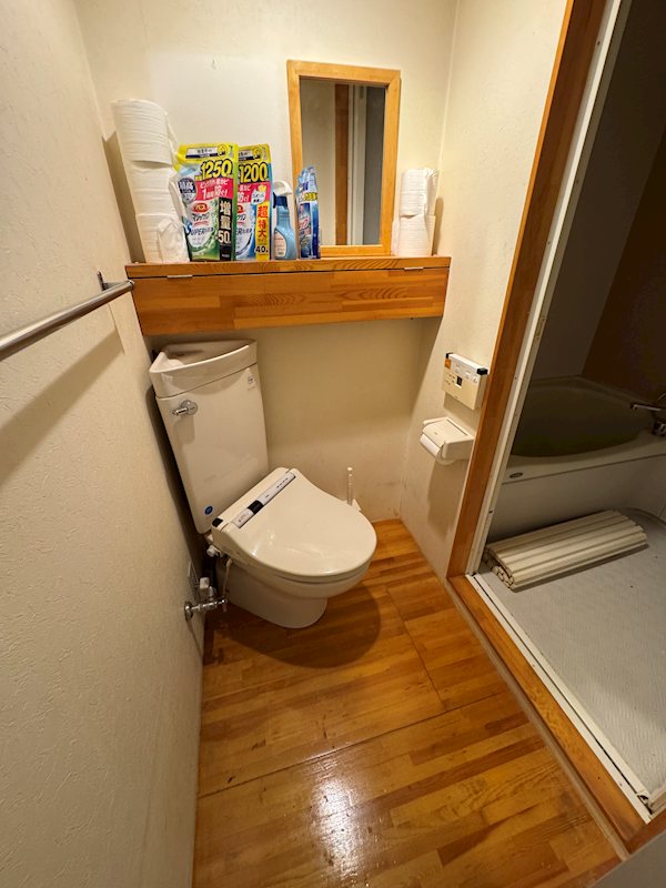 新潟県新潟市中央区万代１丁目 内観写真（トイレ）
