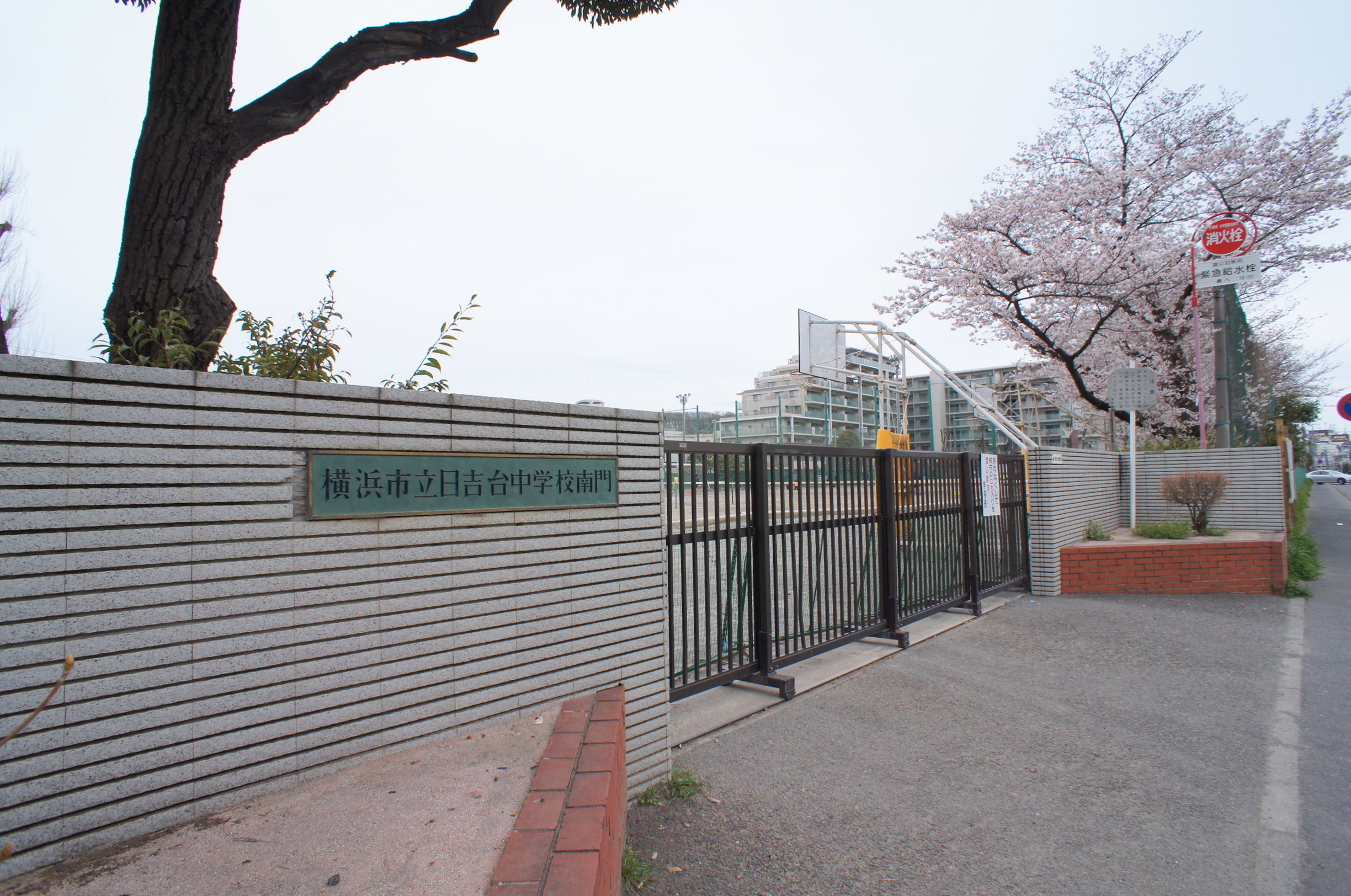 港北区日吉1丁目　新築戸建 中学校