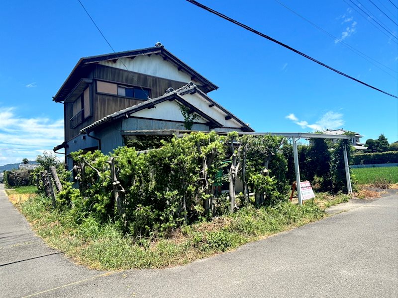 静岡県焼津市北新田 現地写真