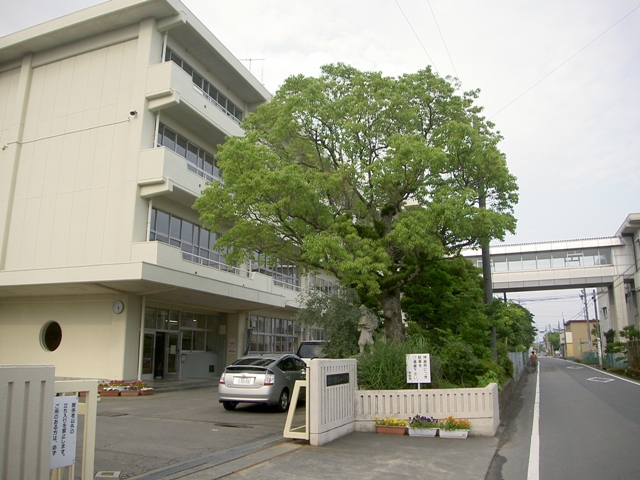 静岡県焼津市北新田 小学校