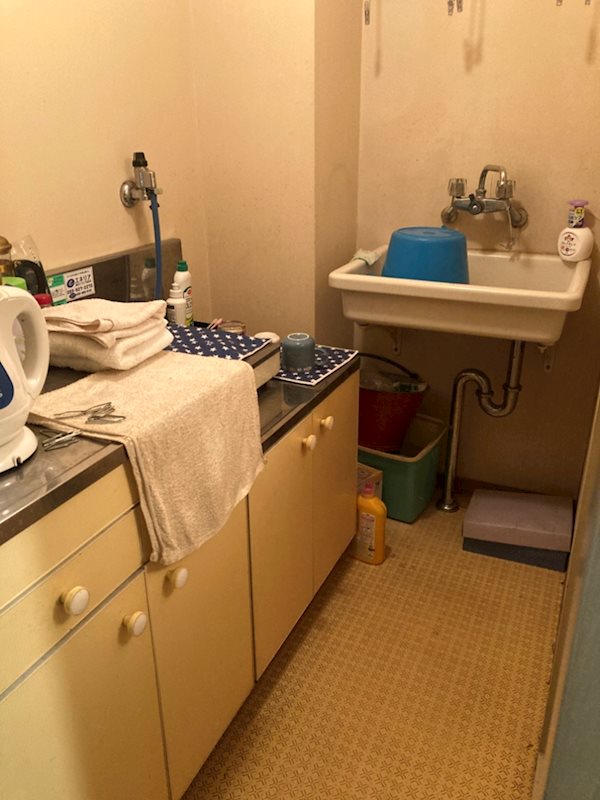 陽輪台沼津マンション 内観写真（洗面台・洗面所）