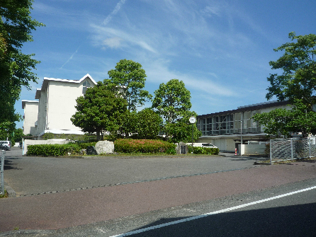 エンブルヒルズ駿河台106 中学校