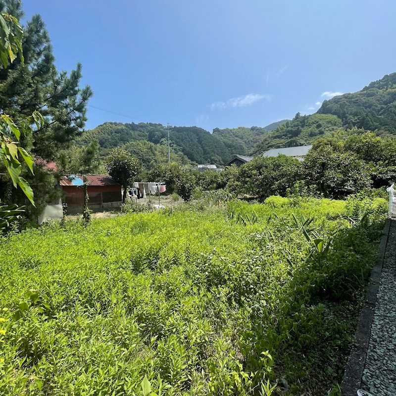 丸子7丁目7-48　土地 現地写真