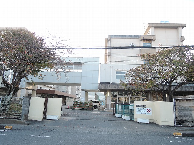 丸子7丁目7-48　土地 中学校