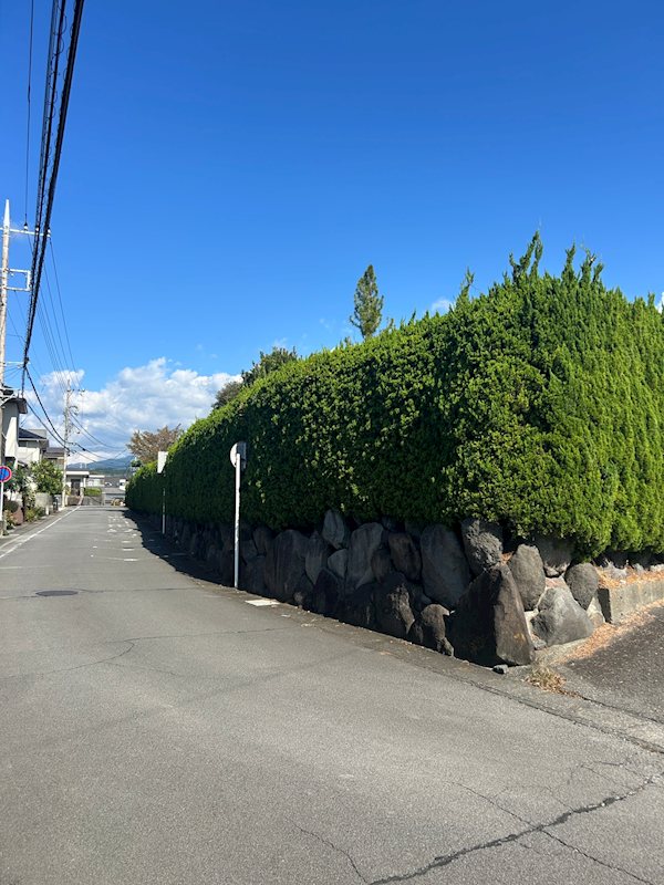 三島市若松町　土地 現地写真（前面道路含む現地写真）