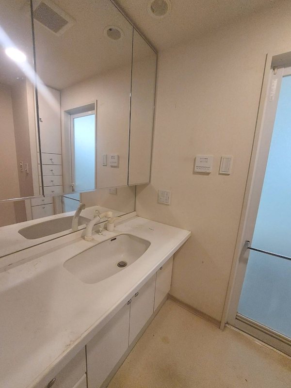 メゾングランツ藤枝407 内観写真（洗面台・洗面所）