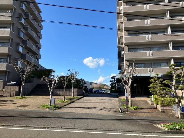 メゾン駿河台東館603 現地写真