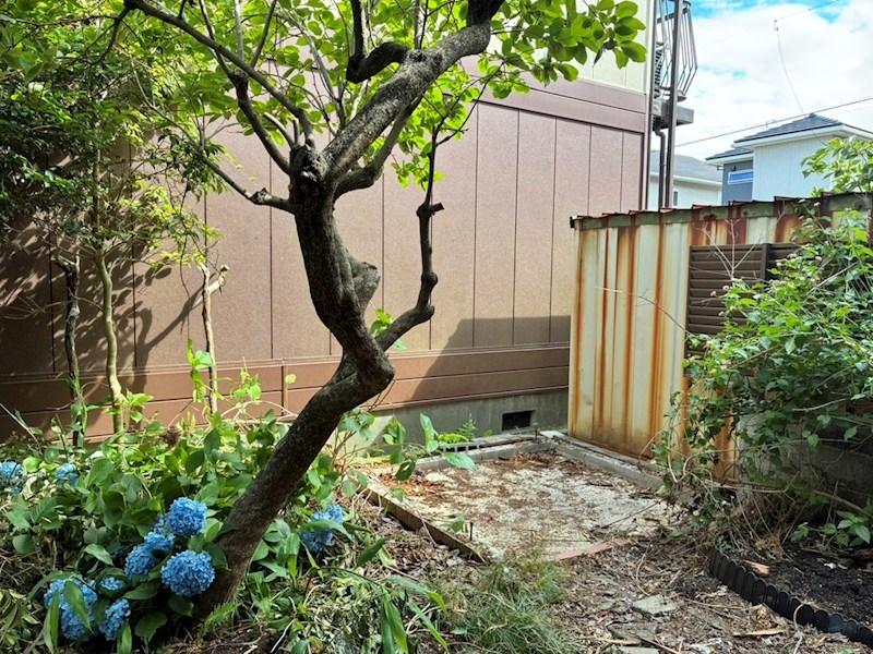 瀬名川3丁目　中古戸建 現地写真（庭）