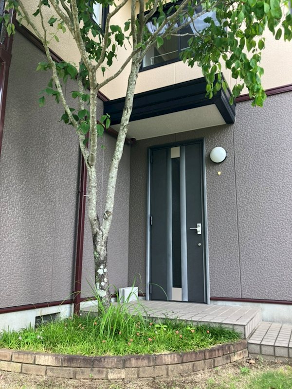 藤枝市南駿河台五丁目 現地写真（玄関）