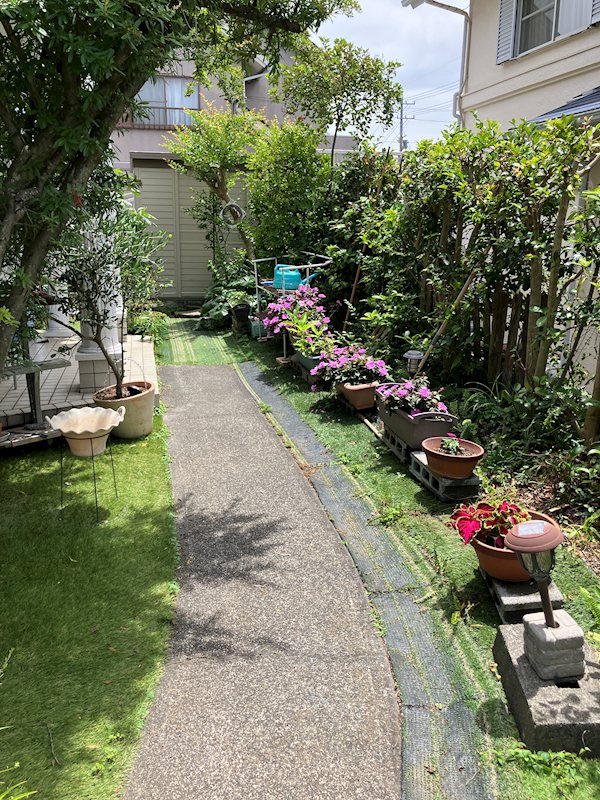 藤枝市駿河台2-10-2中古 現地写真（玄関）