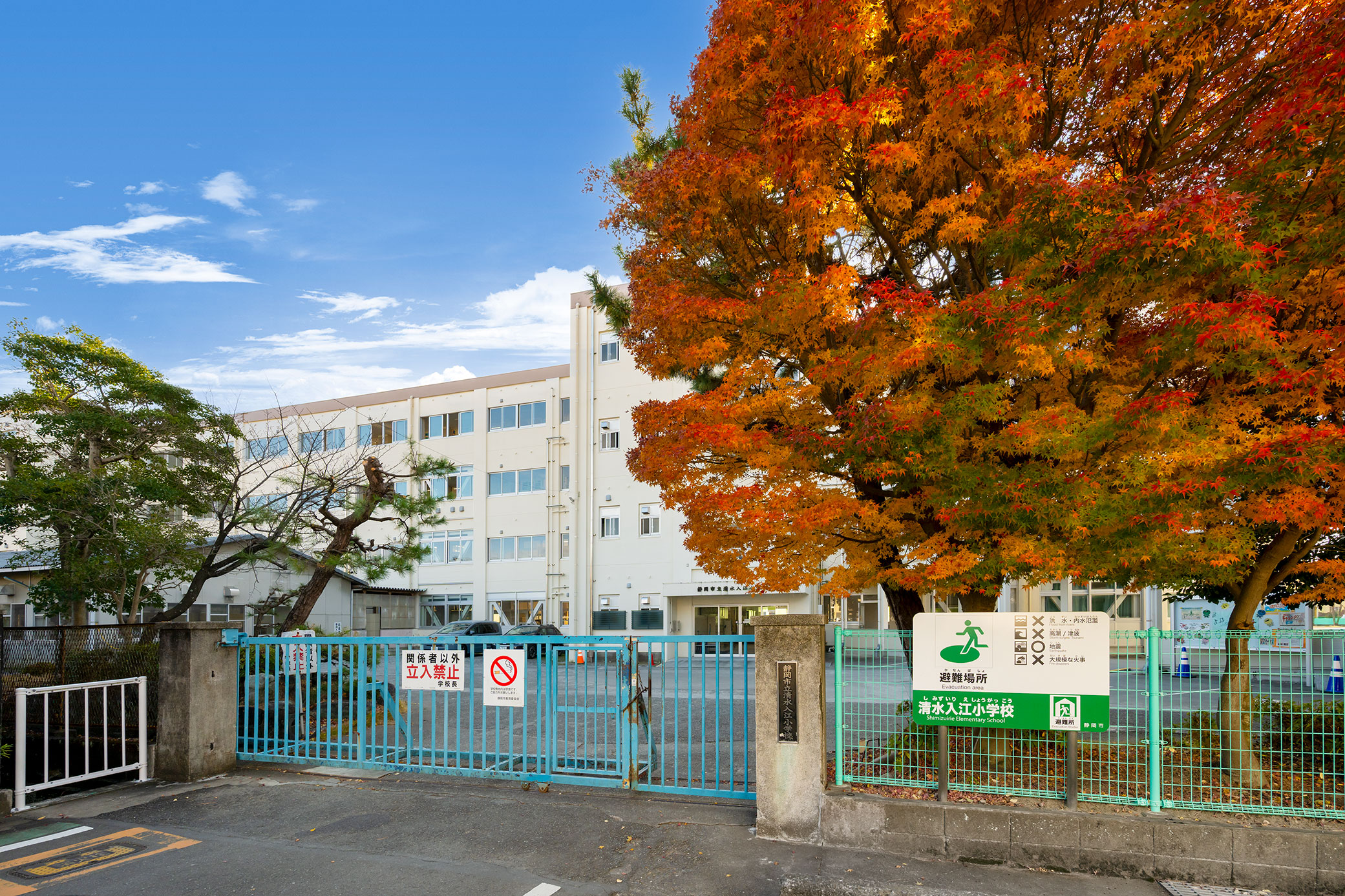 入江一丁目　戸建 小学校