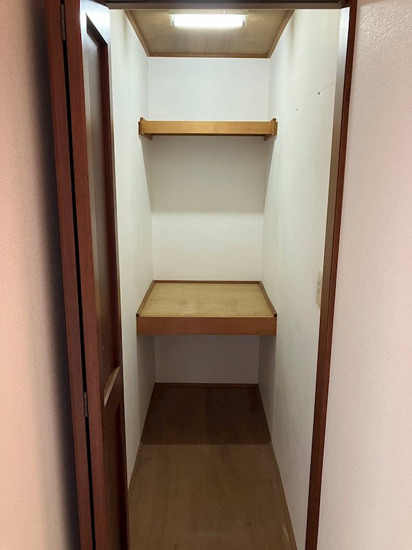 藤枝市大洲四丁目 内観写真（収納）