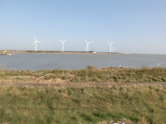 浜松市中央区三新町 その他