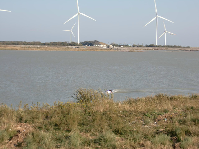 浜松市中央区三新町 その他