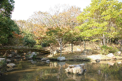 浜松市中央区元浜町 周辺画像10