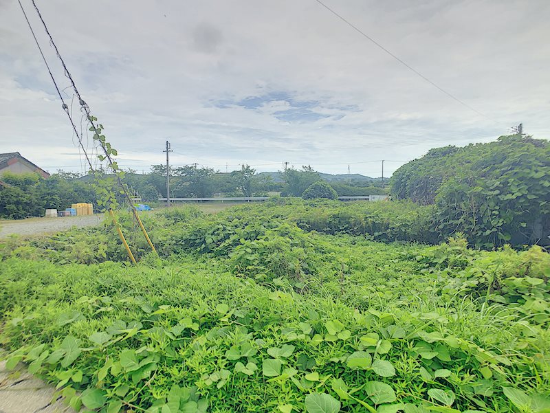 浜松市浜名区細江町気賀 その他