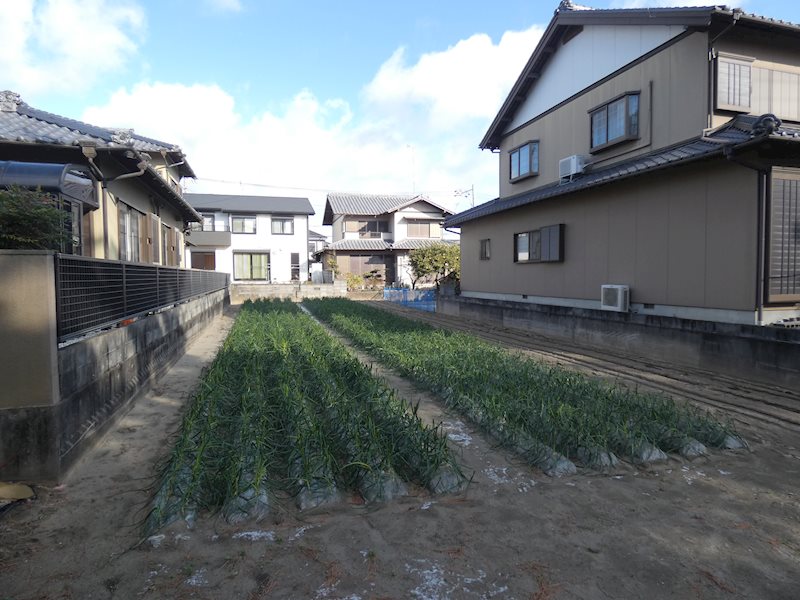 浜松市中央区舞阪町舞阪 その他