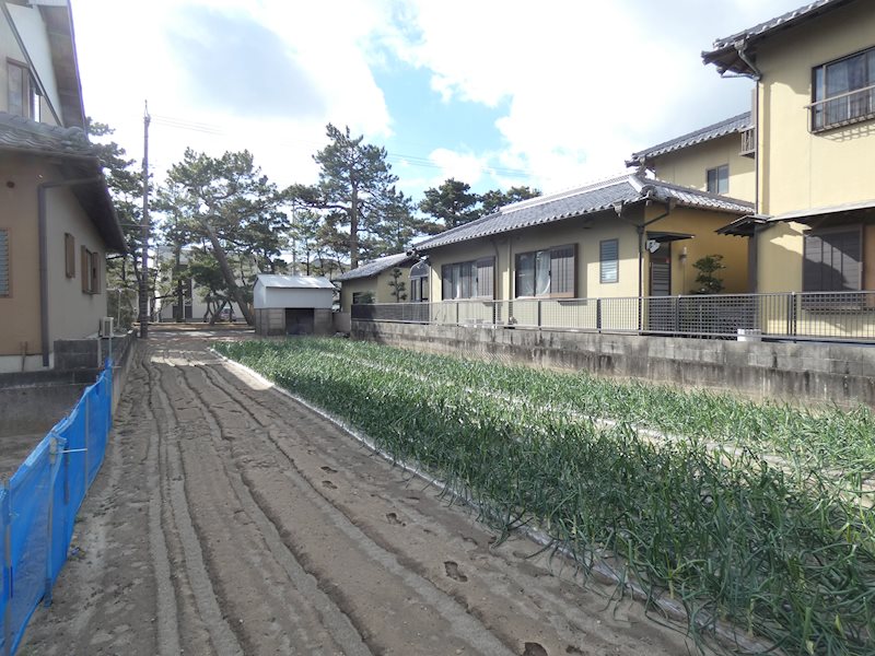 浜松市中央区舞阪町舞阪 その他