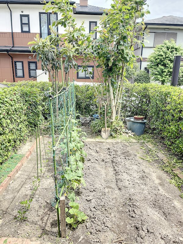 掛川市秋葉路 その他