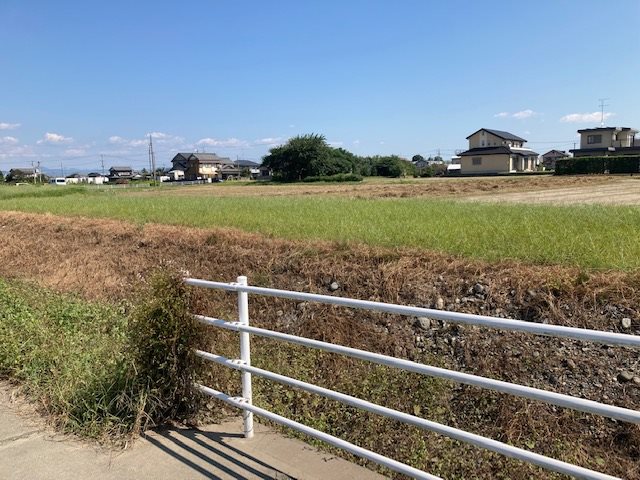 浜松市浜名区寺島 その他