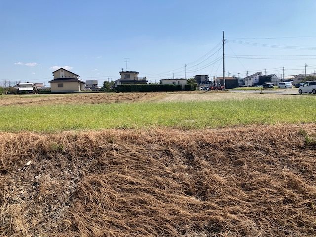 浜松市浜名区寺島 その他