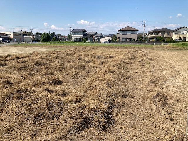 浜松市浜名区寺島 その他